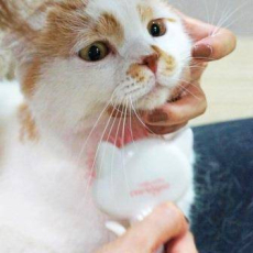  CattyMan Cликер для кошек мягкий с чистящей расческой, фото 5 