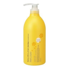  KUMANO YUSHI Salon Link Extra Shampoo Osmanthus Восстанавливающий шампунь для волос, с аминокислотами и протеинами шелка, с ароматом османтуса, 1000мл., фото 1 