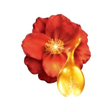  SHISEIDO Tsubaki Набор для увлажнения и объема волос с ароматом листьев камелии: шампунь 450, фото 4 