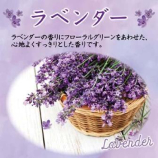  ST Освежитель воздуха для туалета "SHOSHU RIKI" (аэрозоль для туалета с антибактериальным эффектом «Лаванда и травы») 365 мл, фото 2 