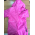  Комбинезон Хиппичик непромокаемый утепленный рост 80-86 розовый12-18мес Hippychick, фото 4 