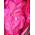  Непромокаемый комбинезон - дождевик розовый рост 92-98см  (2-3 года)  Hippychick, фото 4 