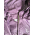  Hippychick Комбинезон-дождевик на рост 90см (18-24мес.), фото 4 
