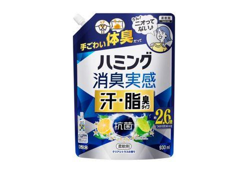  KAO Кондиционер для белья Humming концентрат, с двойным дезодорирующим действием, для сушки в помещении, аромат Прохладный цитрус 930 мл, сменная упаковка с крышкой, фото 1 