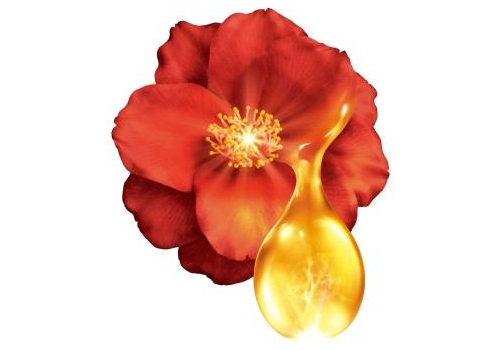  SHISEIDO Tsubaki Набор для увлажнения и объема волос с ароматом листьев камелии: шампунь 450, фото 4 