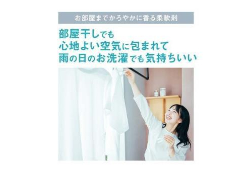  LION Прозрачный кондиционер для белья "Soflan Airis" с воздушным ароматом «Balcony» (аромат унисекс) 850 мл, мягкая упаковка с крышкой, фото 2 