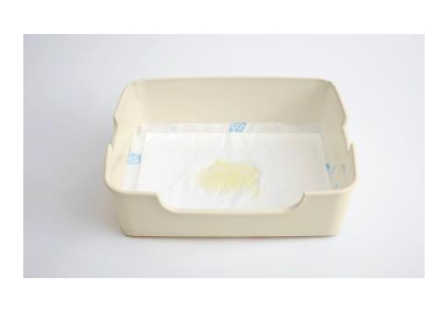  ST Premium Пеленки для системного туалета Nyantomo антибактериальные 12шт, фото 5 